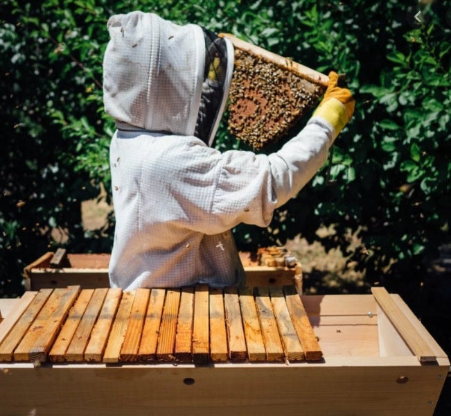 Local Miami Honey | Honi Lifestyle