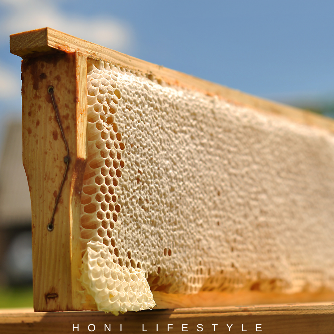 HoneyComb  Honi Lifestyle